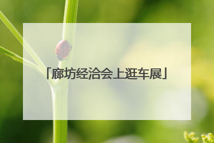 廊坊经洽会上逛车展