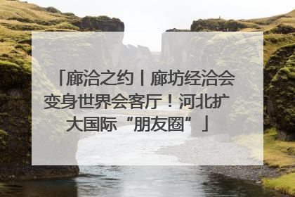 廊洽之约丨廊坊经洽会变身世界会客厅！河北扩大国际“朋友圈”