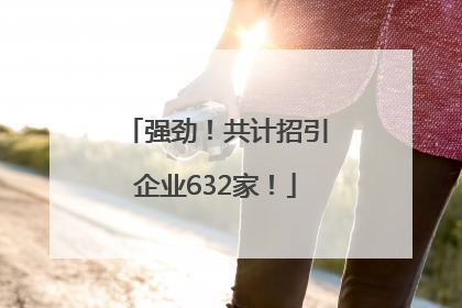 强劲！共计招引企业632家！