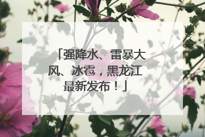 强降水、雷暴大风、冰雹，黑龙江最新发布！
