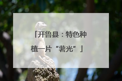 开鲁县：特色种植一片“薯光”