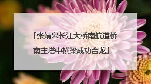 张靖皋长江大桥南航道桥南主塔中横梁成功合龙