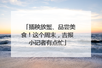 插秧放蟹、品尝美食！这个周末，吉报小记者有点忙