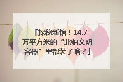 探秘新馆！14.7万平方米的“北疆文明容器”里都装了啥？