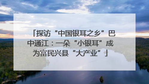 探访“中国银耳之乡”巴中通江：一朵“小银耳”成为富民兴县“大产业”