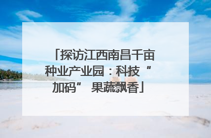 探访江西南昌千亩种业产业园：科技“加码” 果蔬飘香