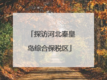 探访河北秦皇岛综合保税区