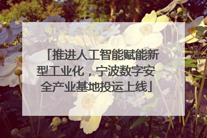 推进人工智能赋能新型工业化，宁波数字安全产业基地投运上线