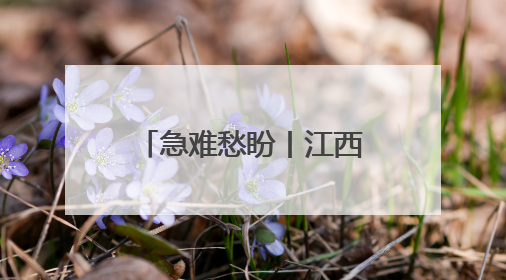 急难愁盼丨江西九江柴桑区：1500余人的出行难题正在解决