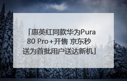 惠英红同款华为Pura 80 Pro+开售 京东秒送为首批用户送达新机
