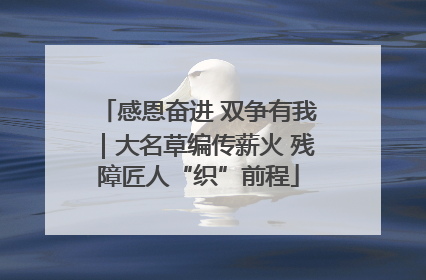 感恩奋进 双争有我｜大名草编传薪火 残障匠人“织”前程