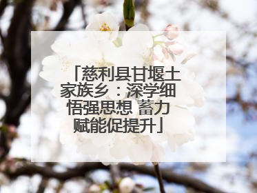 慈利县甘堰土家族乡：深学细悟强思想 蓄力赋能促提升