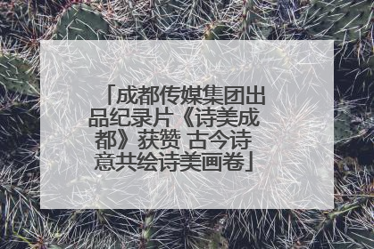 成都传媒集团出品纪录片《诗美成都》获赞 古今诗意共绘诗美画卷