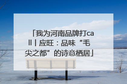 我为河南品牌打call丨应旺：品味“毛尖之都”的诗意栖居