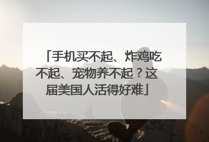 手机买不起、炸鸡吃不起、宠物养不起？这届美国人活得好难