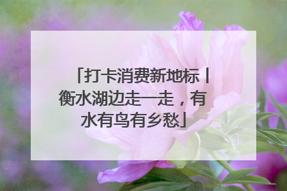 打卡消费新地标丨衡水湖边走一走，有水有鸟有乡愁