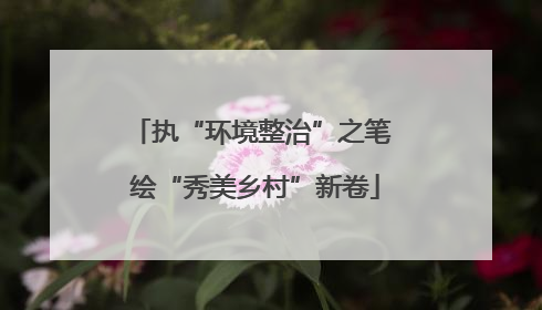 执“环境整治”之笔 绘“秀美乡村”新卷