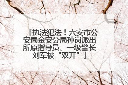 执法犯法！六安市公安局金安分局孙岗派出所原指导员、一级警长刘军被“双开”