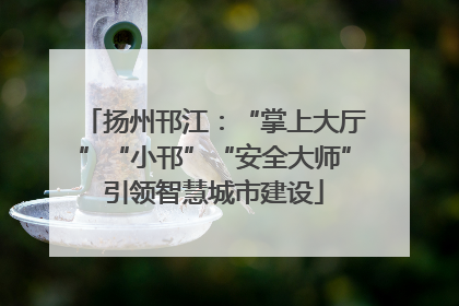 扬州邗江：“掌上大厅”“小邗”“安全大师”引领智慧城市建设