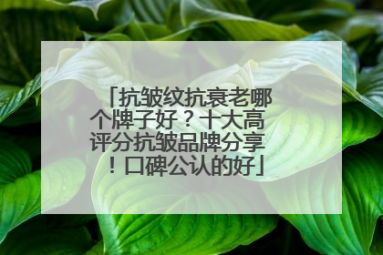 抗皱纹抗衰老哪个牌子好？十大高评分抗皱品牌分享！口碑公认的好