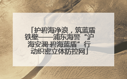 护碧海净浪，筑蓝盾铁壁——浦东海警“沪海安澜·碧海蓝盾”行动织密立体防控网