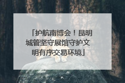 护航南博会！昆明城管坚守展馆守护文明有序交易环境