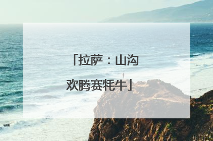 拉萨：山沟欢腾赛牦牛