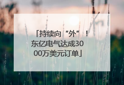 持续向“外”！东亿电气达成3000万美元订单