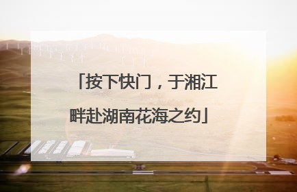 按下快门，于湘江畔赴湖南花海之约