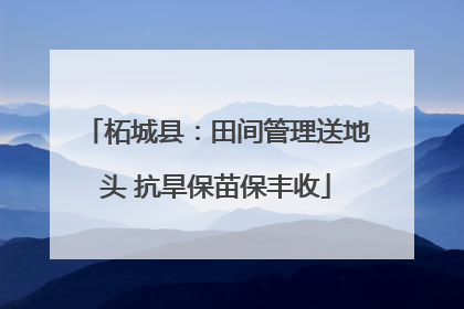 柘城县：田间管理送地头 抗旱保苗保丰收