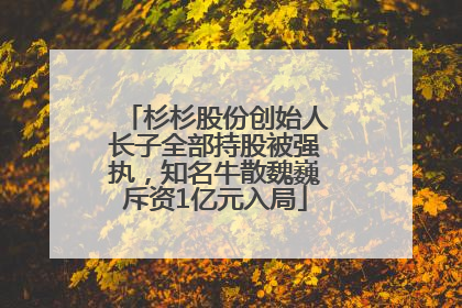 杉杉股份创始人长子全部持股被强执，知名牛散魏巍斥资1亿元入局