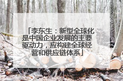 李东生：新型全球化是中国企业发展的主要驱动力，应构建全球经营和供应链体系