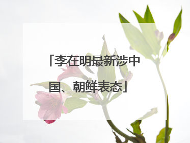 李在明最新涉中国、朝鲜表态