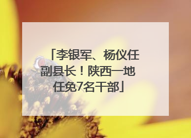 李银军、杨仪任副县长！陕西一地任免7名干部