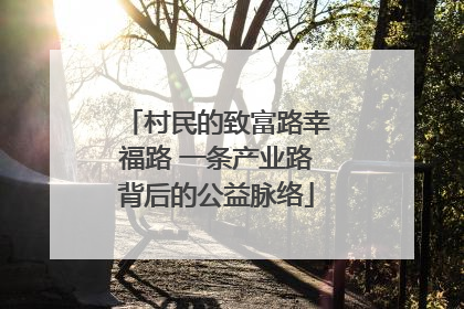 村民的致富路幸福路 一条产业路背后的公益脉络