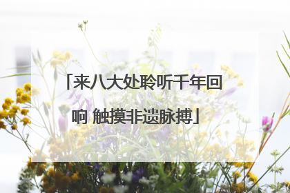 来八大处聆听千年回响 触摸非遗脉搏