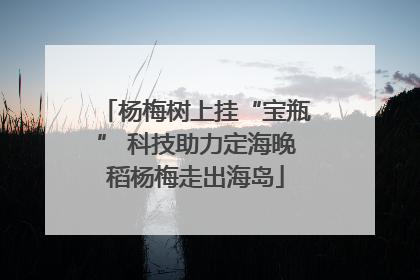 杨梅树上挂“宝瓶” 科技助力定海晚稻杨梅走出海岛