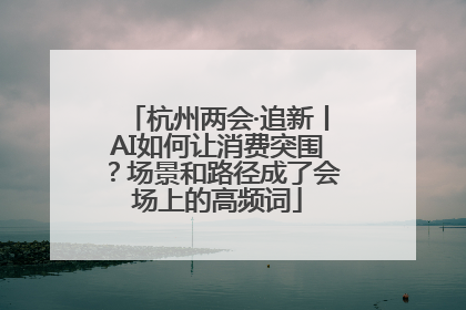 杭州两会·追新丨AI如何让消费突围？场景和路径成了会场上的高频词