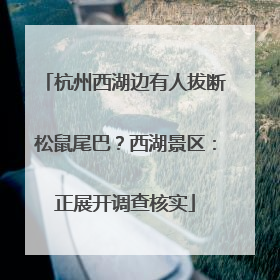 杭州西湖边有人拔断松鼠尾巴？西湖景区：正展开调查核实