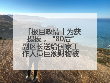 极目政情丨为获提拔，“80后”副区长送给国家工作人员巨额财物被“双开”
