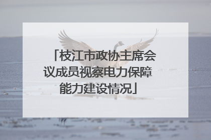 枝江市政协主席会议成员视察电力保障能力建设情况