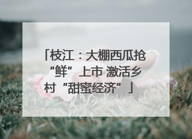 枝江：大棚西瓜抢“鲜”上市 激活乡村“甜蜜经济”