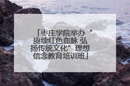 枣庄学院举办“赓续红色血脉 弘扬传统文化”理想信念教育培训班