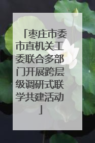 枣庄市委市直机关工委联合多部门开展跨层级调研式联学共建活动