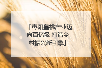 枣阳皇桃产业迈向百亿级 打造乡村振兴新引擎