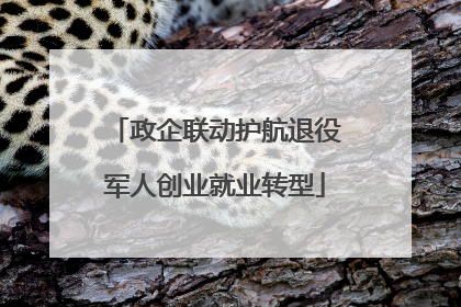 政企联动护航退役军人创业就业转型