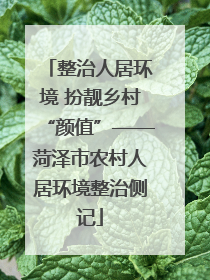 整治人居环境 扮靓乡村“颜值”——菏泽市农村人居环境整治侧记