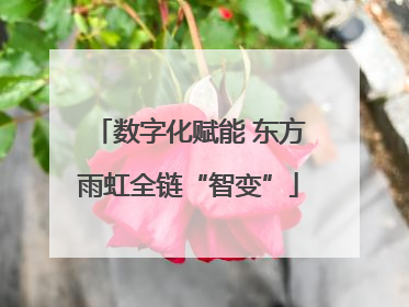 数字化赋能 东方雨虹全链“智变”