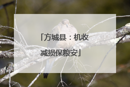 方城县：机收减损保粮安