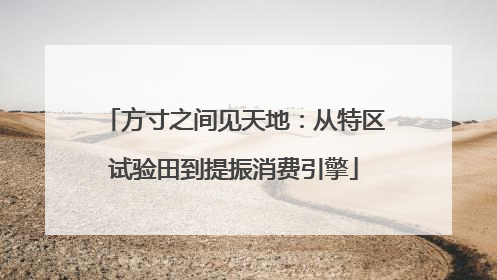 方寸之间见天地：从特区试验田到提振消费引擎